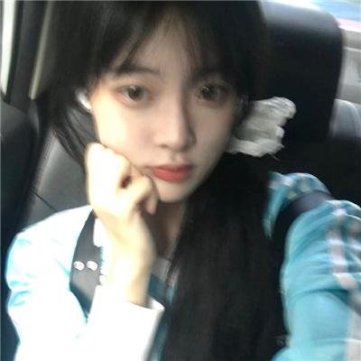 伊利诺斯州的林肯